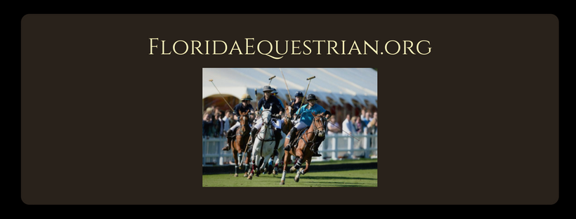 Florida Equestrian Club